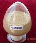 木聚糖酶