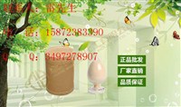 蘆丁