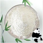 左乙拉西坦