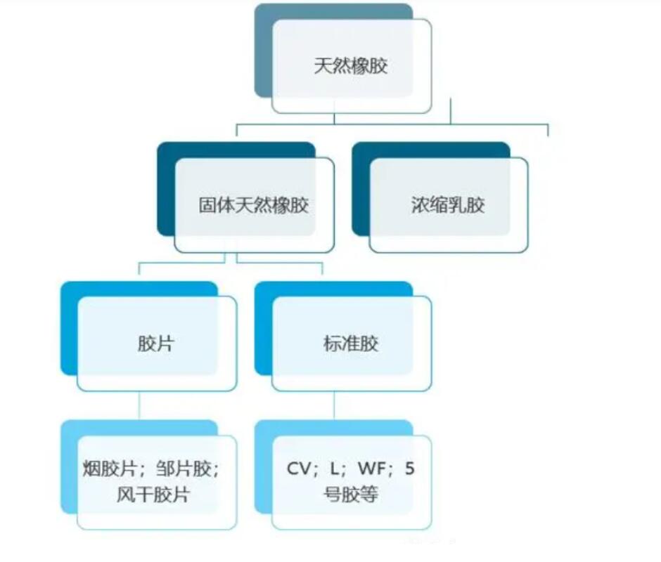 全球天然橡膠產(chǎn)量同比呈增長(zhǎng)態(tài)勢(shì)